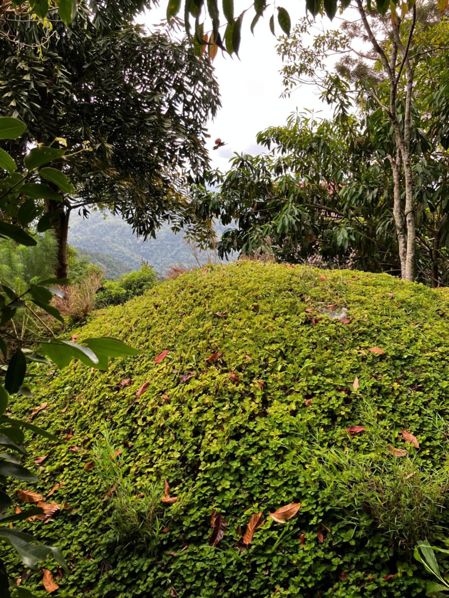 The Cloud Resort Kadugannawa Exterior photo